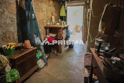 Farm i Castelo Branco, Castelo Branco, Castelo Branco - € 59.500 | Ref: PP4608 - foto 7