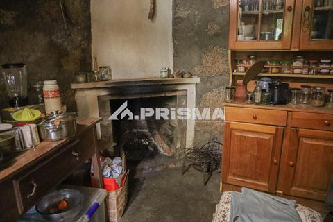 Farm i Castelo Branco, Castelo Branco, Castelo Branco - € 59.500 | Ref: PP4608 - foto 8