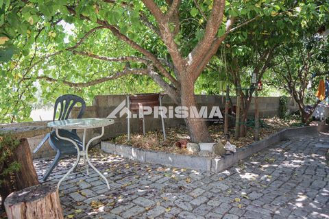 Farm i Castelo Branco, Castelo Branco, Castelo Branco - € 59.500 | Ref: PP4608 - foto 18