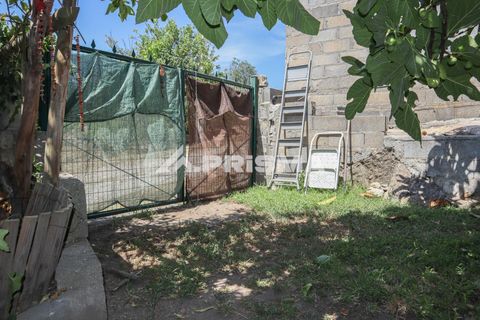Farm i Castelo Branco, Castelo Branco, Castelo Branco - € 59.500 | Ref: PP4608 - foto 19