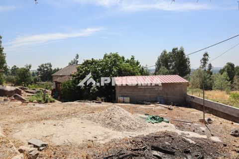 Farm i Castelo Branco, Castelo Branco, Castelo Branco - € 59.500 | Ref: PP4608 - foto 21