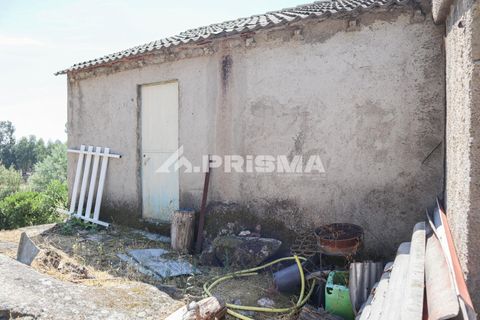 Farm i Castelo Branco, Castelo Branco, Castelo Branco - € 59.500 | Ref: PP4608 - foto 22