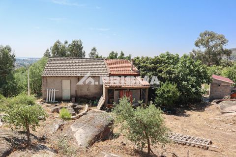 Farm i Castelo Branco, Castelo Branco, Castelo Branco - € 59.500 | Ref: PP4608 - foto 17