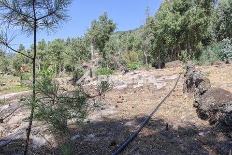 Farm i Castelo Branco, Castelo Branco, Castelo Branco - € 59.500 | Ref: PP4608 - foto 15