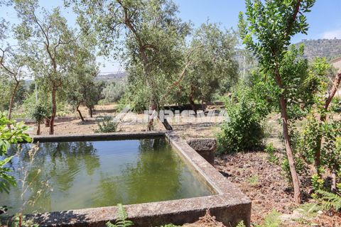 Farm i Castelo Branco, Castelo Branco, Castelo Branco - € 59.500 | Ref: PP4608 - foto 12