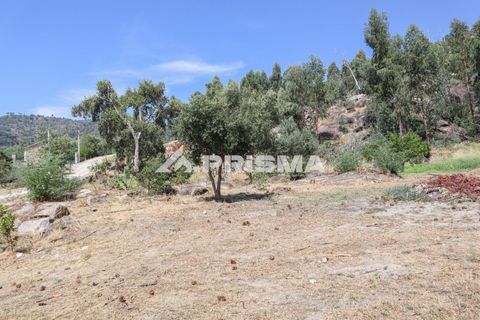 Farm i Castelo Branco, Castelo Branco, Castelo Branco - € 59.500 | Ref: PP4608 - foto 23