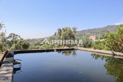 Farm i Castelo Branco, Castelo Branco, Castelo Branco - € 59.500 | Ref: PP4608 - foto 1