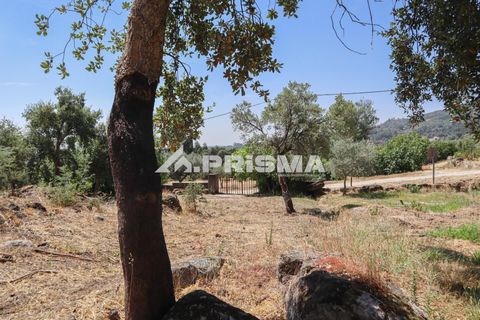 Farm i Castelo Branco, Castelo Branco, Castelo Branco - € 59.500 | Ref: PP4608 - foto 25