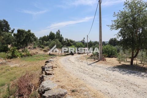 Farm i Castelo Branco, Castelo Branco, Castelo Branco - € 59.500 | Ref: PP4608 - foto 13