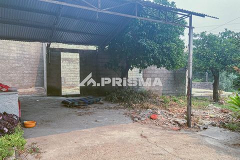 Rækkehus i Fundao, Castelo Branco, Fundao - € 214.500 | Ref: PP4643 - foto 35