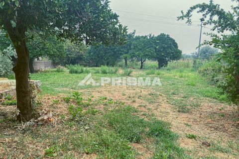 Rækkehus i Fundao, Castelo Branco, Fundao - € 214.500 | Ref: PP4643 - foto 39