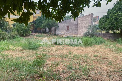Rækkehus i Fundao, Castelo Branco, Fundao - € 214.500 | Ref: PP4643 - foto 40