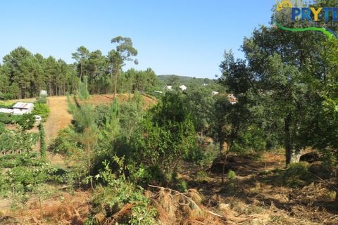 Villa i Serta, Castelo Branco, Serta - € 290.000 | Ref: AA325 - foto 2