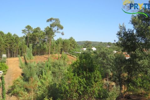 Villa i Serta, Castelo Branco, Serta - € 290.000 | Ref: AA325 - foto 3