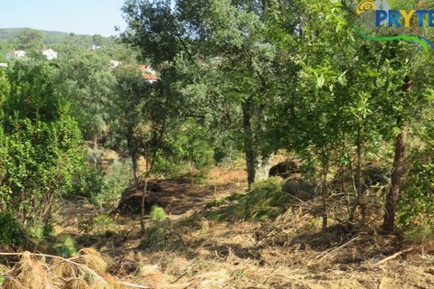 Villa i Serta, Castelo Branco, Serta - € 290.000 | Ref: AA325 - foto 4
