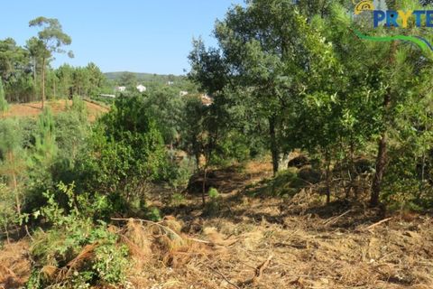 Villa i Serta, Castelo Branco, Serta - € 290.000 | Ref: AA325 - foto 5
