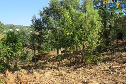 Villa i Serta, Castelo Branco, Serta - € 290.000 | Ref: AA325 - foto 6