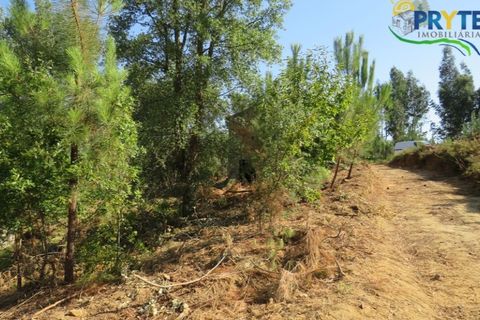 Villa i Serta, Castelo Branco, Serta - € 290.000 | Ref: AA325 - foto 8