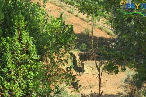 Villa i Serta, Castelo Branco, Serta - € 290.000 | Ref: AA325 - foto 9