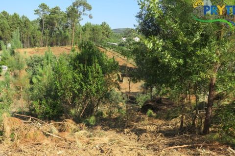 Villa i Serta, Castelo Branco, Serta - € 290.000 | Ref: AA325 - foto 10