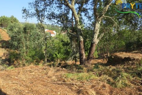 Villa i Serta, Castelo Branco, Serta - € 290.000 | Ref: AA325 - foto 16