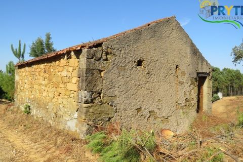 Villa i Serta, Castelo Branco, Serta - € 290.000 | Ref: AA325 - foto 23