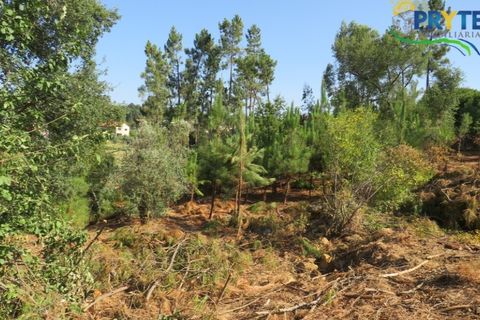 Villa i Serta, Castelo Branco, Serta - € 290.000 | Ref: AA325 - foto 24