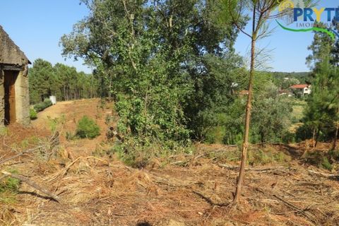 Villa i Serta, Castelo Branco, Serta - € 290.000 | Ref: AA325 - foto 25