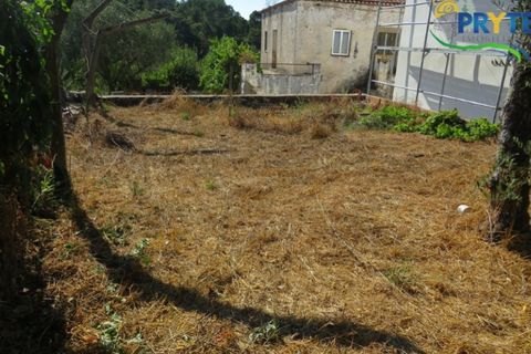 Villa i Serta, Castelo Branco, Serta - € 114.500 | Ref: IS01 - foto 7