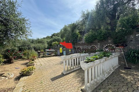 Villa a Dolceacqua, Imperia, Dolceacqua - € 650.000 | Ref: V01 - foto 6