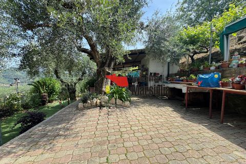Villa a Dolceacqua, Imperia, Dolceacqua - € 650.000 | Ref: V01 - foto 34