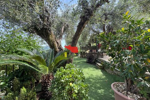 Villa a Dolceacqua, Imperia, Dolceacqua - € 650.000 | Ref: V01 - foto 37