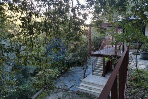 Gård i Arouca, Aveiro, Arouca - € 790 000 | Ref: 1110251 - foto 43