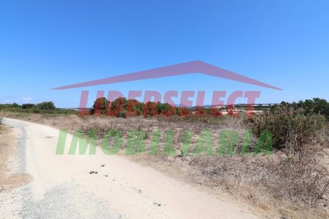 Helårsgrund i A dos Cunhados e Maceira, Lisbon, A dos Cunhados e Maceira - € 160.000 | Ref: 1220 - foto 3