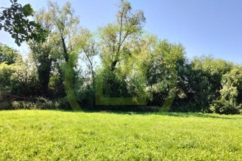 Terra a Busigny, Nord, Busigny - € 18.900 | Ref: 3011441022 - foto 2