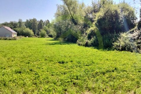 Terra a Busigny, Nord, Busigny - € 18.900 | Ref: 3011441022 - foto 3