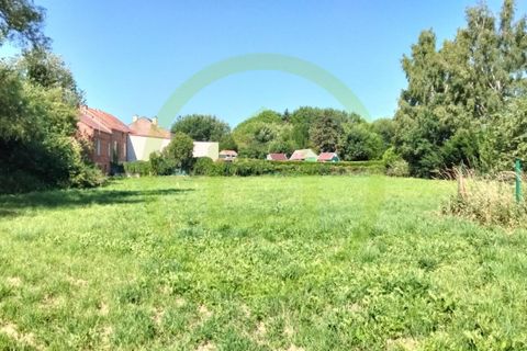 Terra a Busigny, Nord, Busigny - € 18.900 | Ref: 3011441022 - foto 4