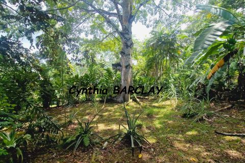 Villa i Joseph, Martinique, Joseph - € 663.000 | Ref: 3011441024 - foto 9