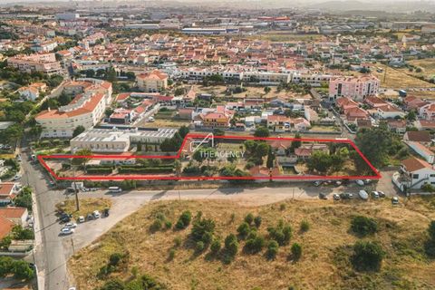 Helårsgrund i Sintra, Lisbon, Sintra - € 1.400.000 | Ref: TAPT01-1267_ANB_MM - foto 5