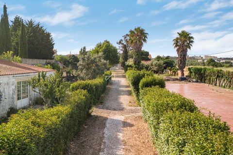 Helårsgrund i Sintra, Lisbon, Sintra - € 1.400.000 | Ref: TAPT01-1267_ANB_MM - foto 7