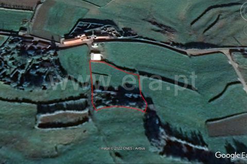 Terra a Horta, Faial, Horta - € 24.000 | Ref: 374220151 - foto 2
