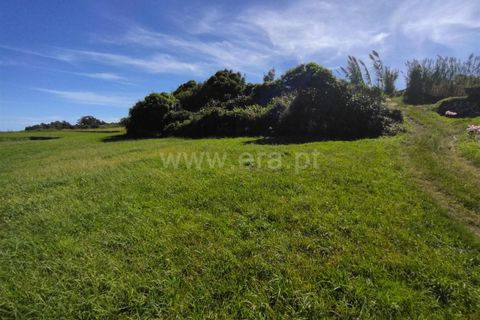 Terra a Horta, Faial, Horta - € 24.000 | Ref: 374220151 - foto 3
