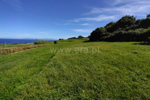 Terra a Horta, Faial, Horta - € 24.000 | Ref: 374220151 - foto 4