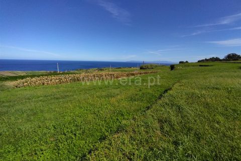 Terra a Horta, Faial, Horta - € 24.000 | Ref: 374220151 - foto 5