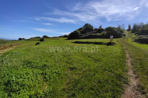 Terra a Horta, Faial, Horta - € 24.000 | Ref: 374220151 - foto 6