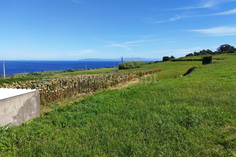 Terra a Horta, Faial, Horta - € 24.000 | Ref: 374220151 - foto 8