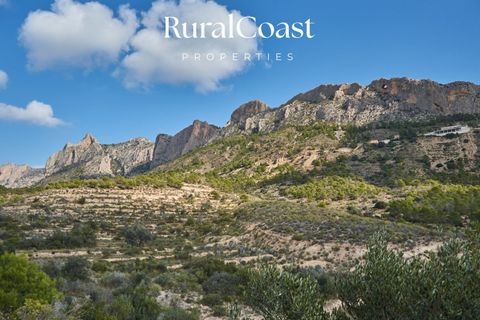 Villa i Busot, Alicante, Busot - € 595.000 | Ref: 5381 - foto 47