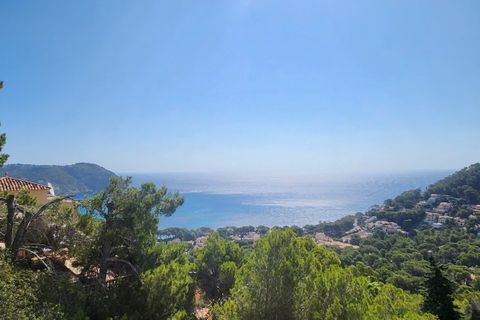 Villa i Arta, Mallorca, Arta - € 690.000 | Ref: 2247 - foto 2