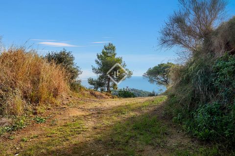 Villa a Caldes D'estrac, Barcelona, Caldes D'estrac - € 987.770 | Ref: MRS62700 - foto 26