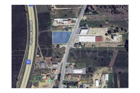 Helårsgrund i Valenca, Viana do Castelo, Valenca - € 600.000 | Ref: UNU-F1-11-2 - foto 6